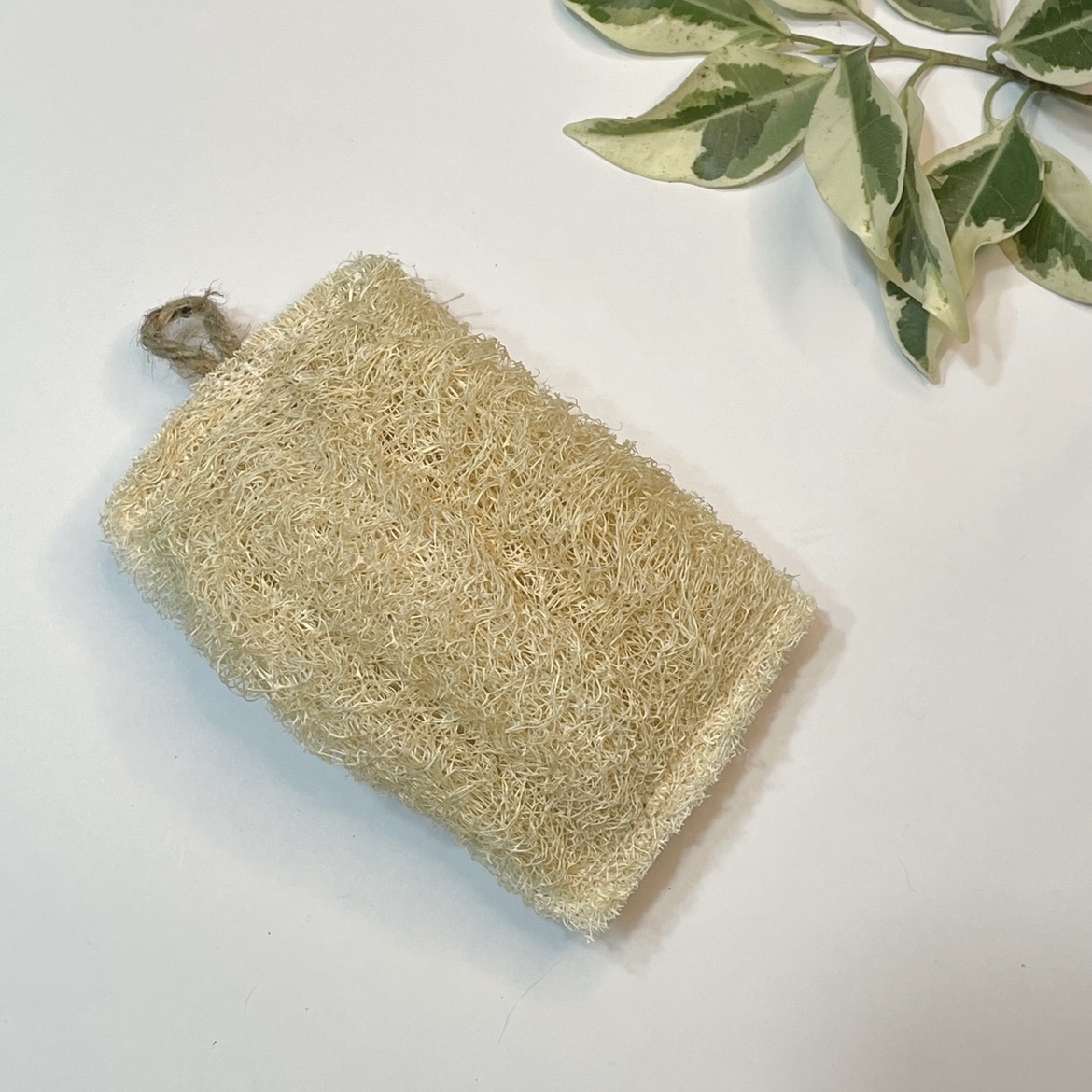 LUFA: ESPONJA VEGETAL EXFOLIANTE